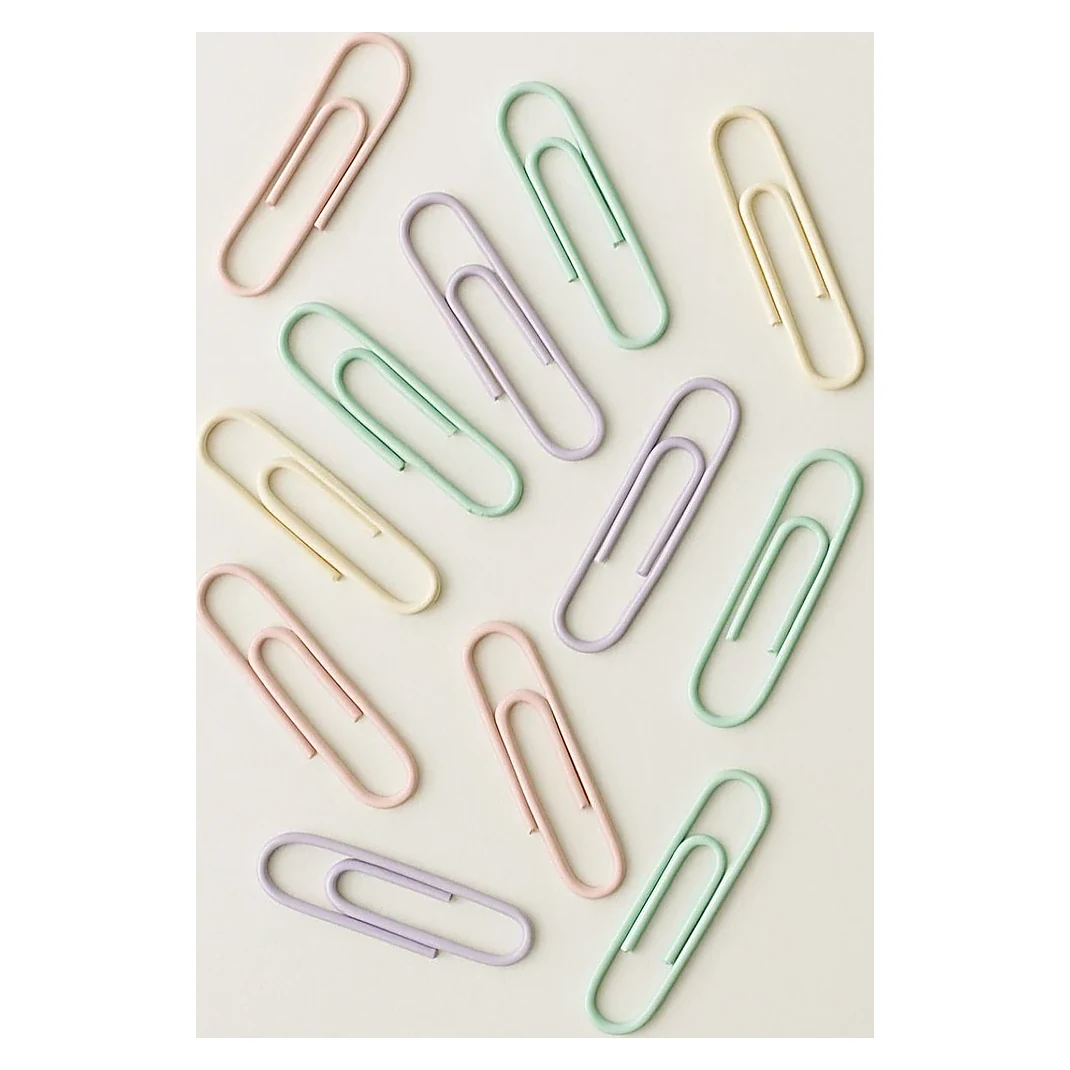 Pastel Paper Clips Assorted