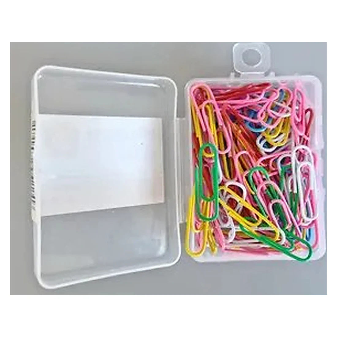 Paper Clips in Clear Case