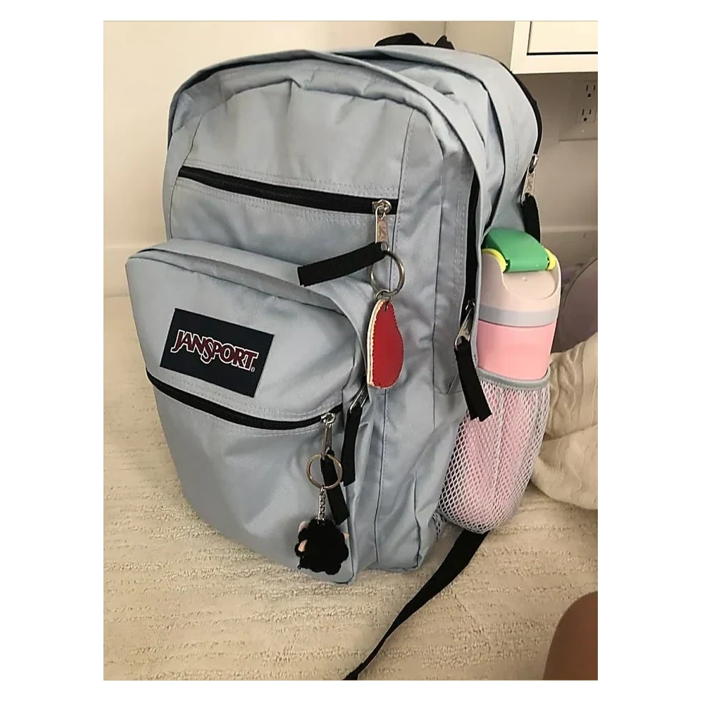 Grey Backpack