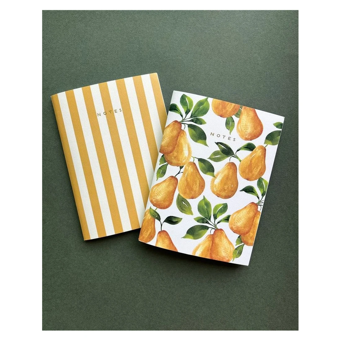 Striped and Citrus Notebooks