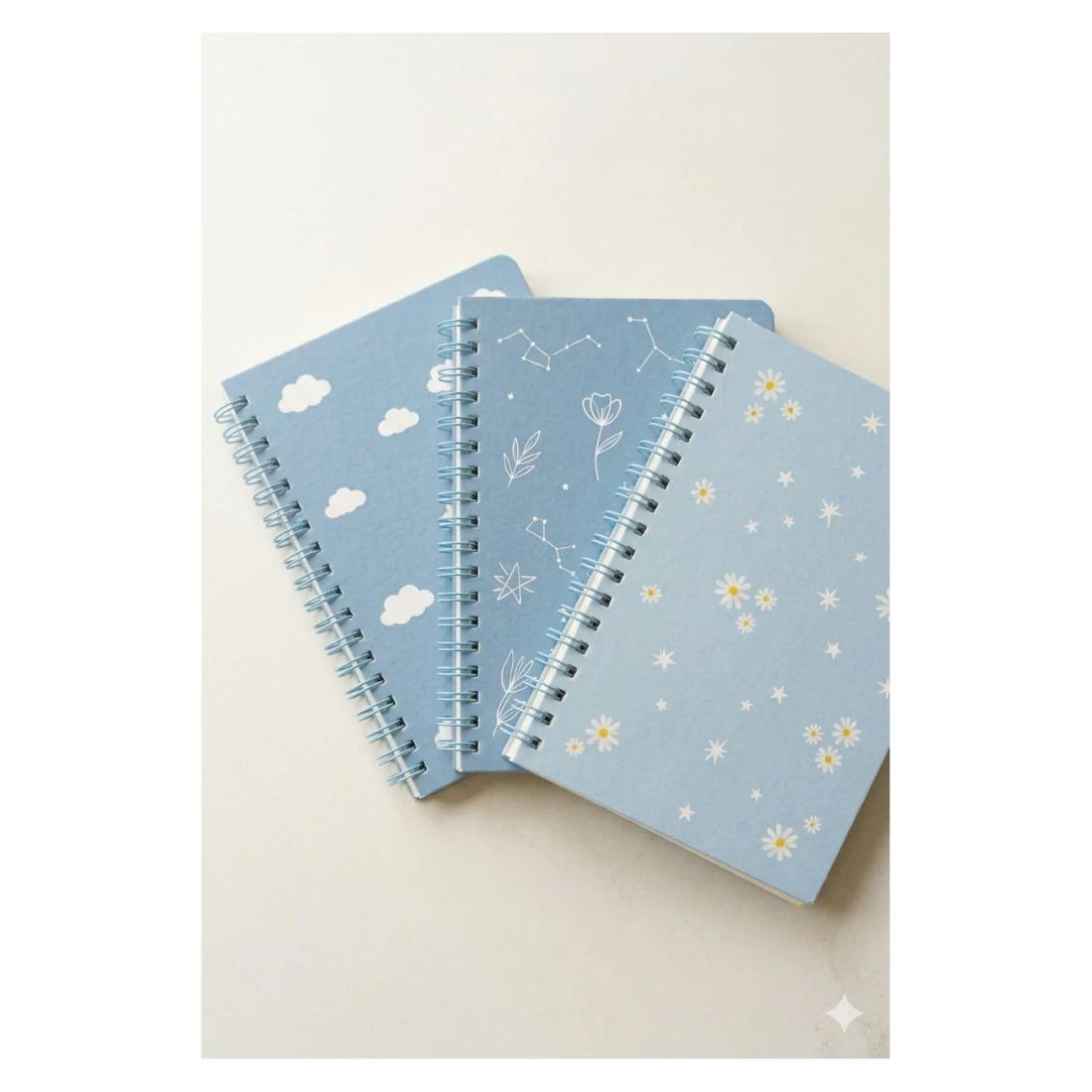 Blue Daisy Notebooks